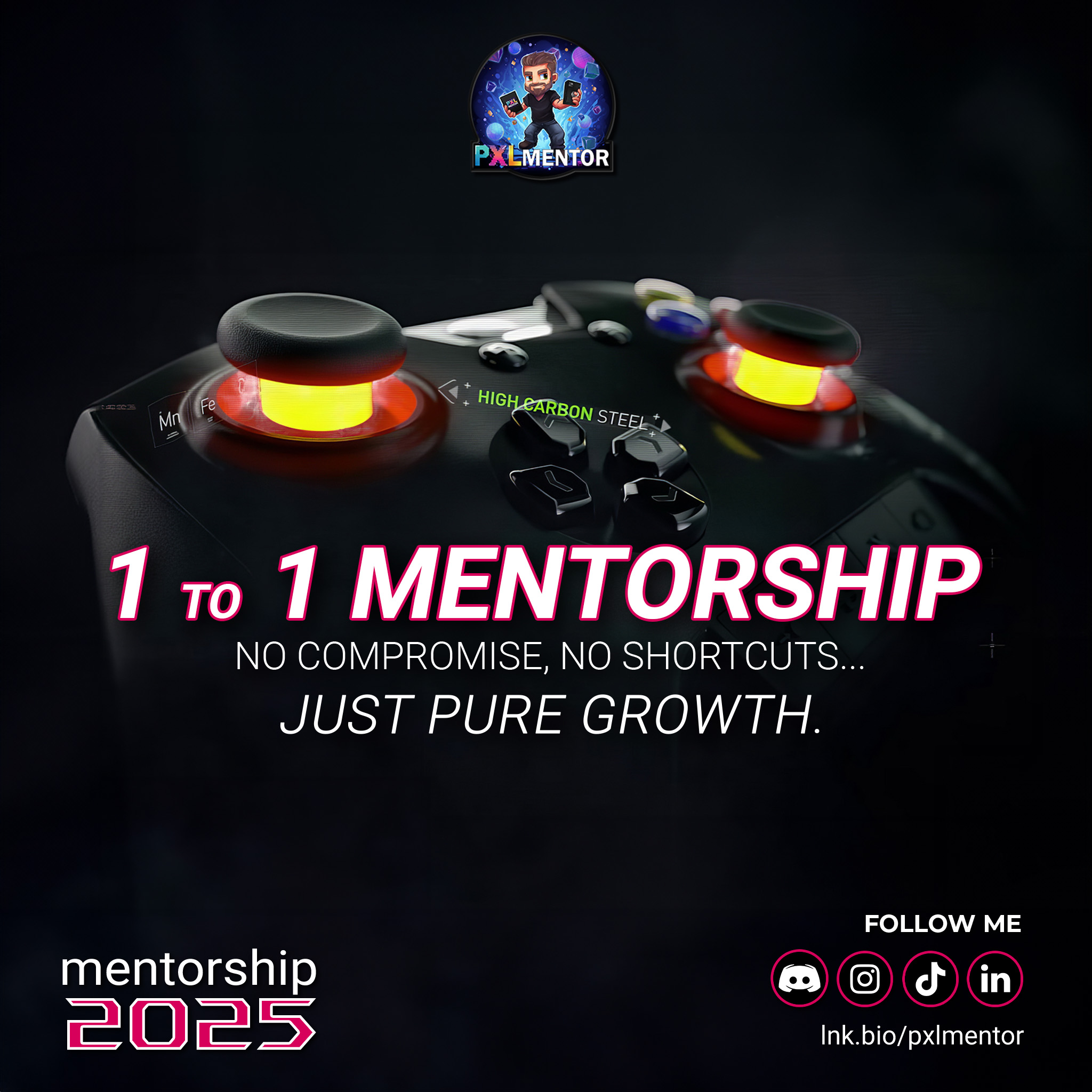 1-to-1 mentorship
